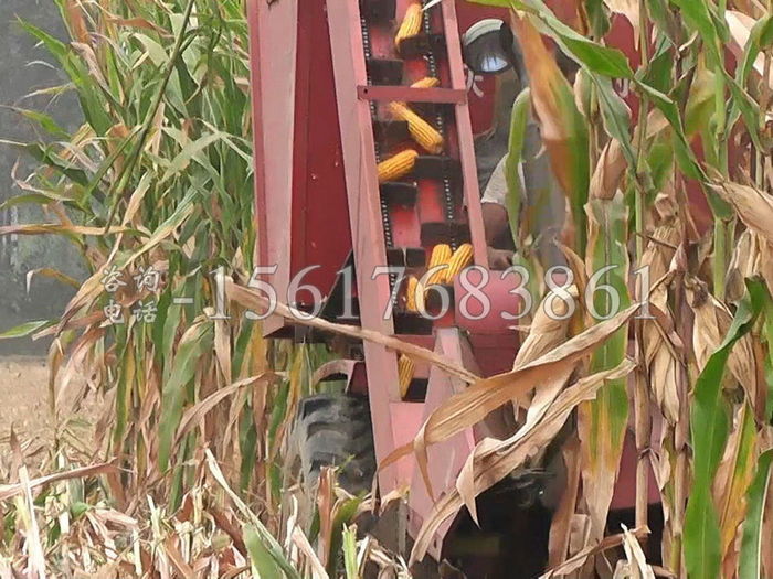 4Yb-2揹負玉米收割機